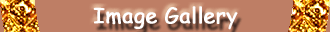 Click here to view Image Gallery menu